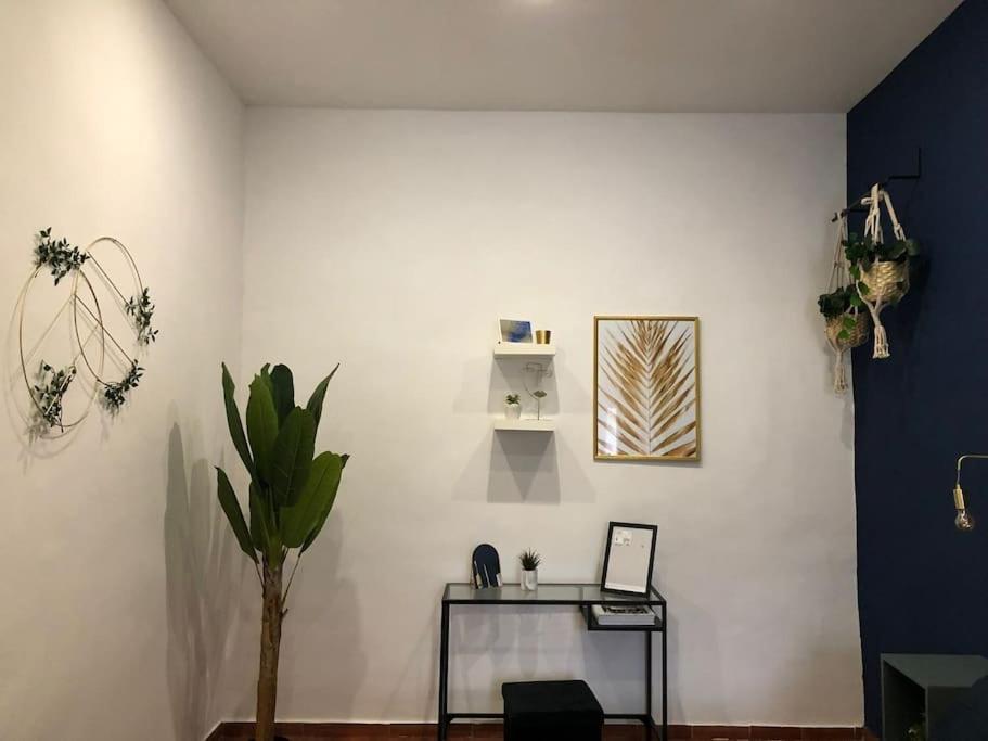 F839 Apartment Napoli Esterno foto