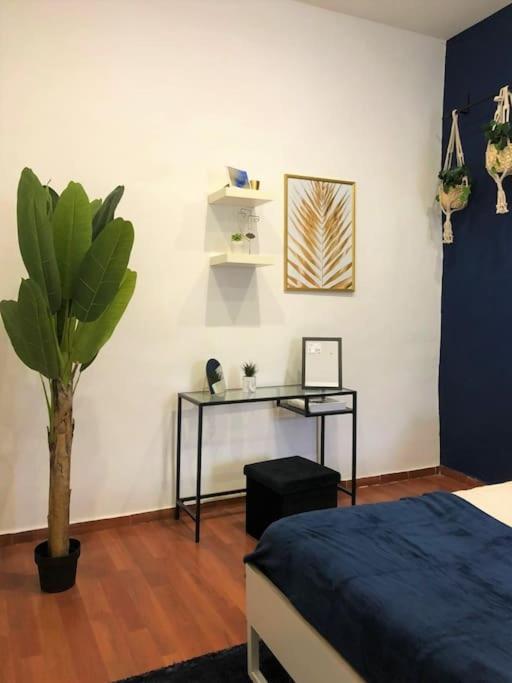 F839 Apartment Napoli Esterno foto